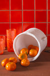White Katran Pot with Lid
