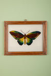 framed painting