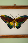framed painting