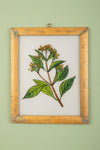 framed painting