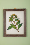 framed painting