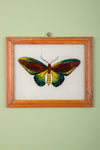 framed painting