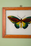 framed painting