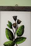 framed painting