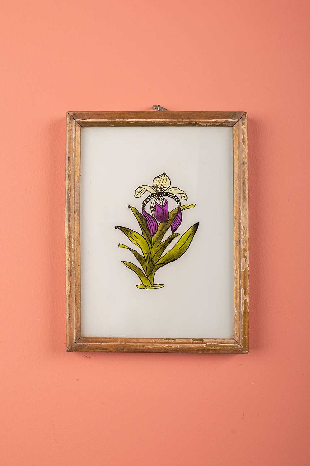 Medium Old Wood Frame with Botanical/Wildlife Painting - 696