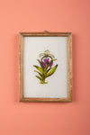 Medium Old Wood Frame with Botanical/Wildlife Painting - 696