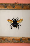 Medium Old Wood Frame with Botanical/Wildlife Painting - 697