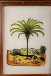 Medium Old Wood Frame with Botanical/Wildlife Painting - 703