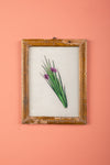 Medium Old Wood Frame with Botanical/Wildlife Painting - 704