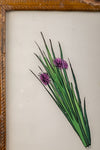 Medium Old Wood Frame with Botanical/Wildlife Painting - 704