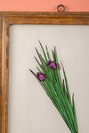Medium Old Wood Frame with Botanical/Wildlife Painting - 712