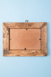 Small Old Wood Frame with Botanical/Wildlife Painting - 409