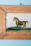 Small Old Wood Frame with Botanical/Wildlife Painting - 411