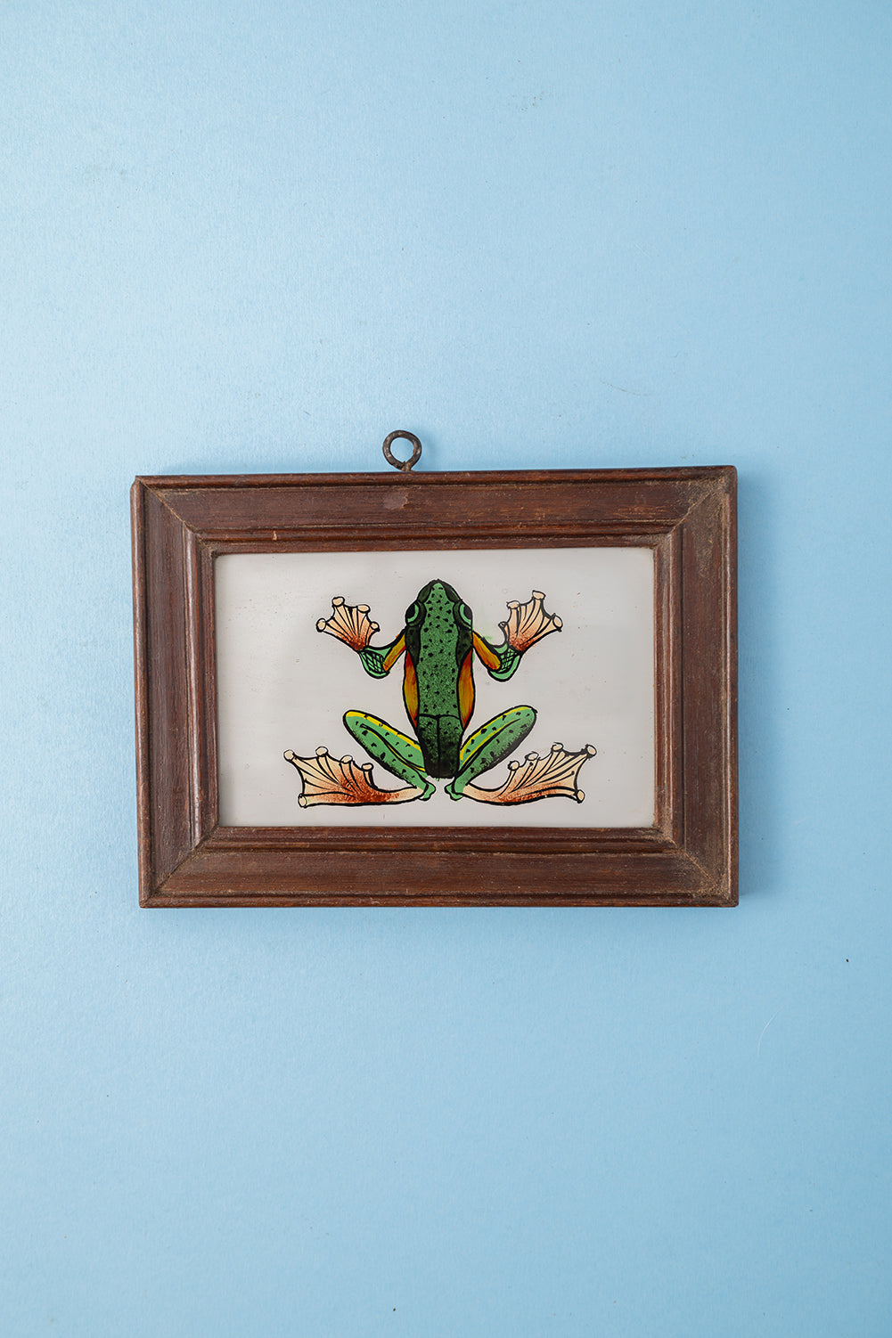 Small Old Wood Frame with Botanical/Wildlife Painting - 428