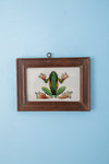 Small Old Wood Frame with Botanical/Wildlife Painting - 428
