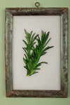framed painting