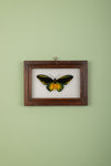 framed painting