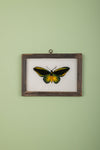 framed painting