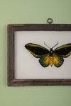 framed painting