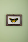 framed painting