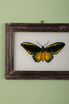 framed painting