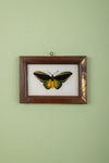 framed painting