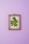 Tiny Old Wood Frame with Botanical/Wildlife Painting - 361