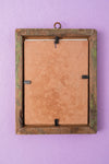 Tiny Old Wood Frame with Botanical/Wildlife Painting - 361