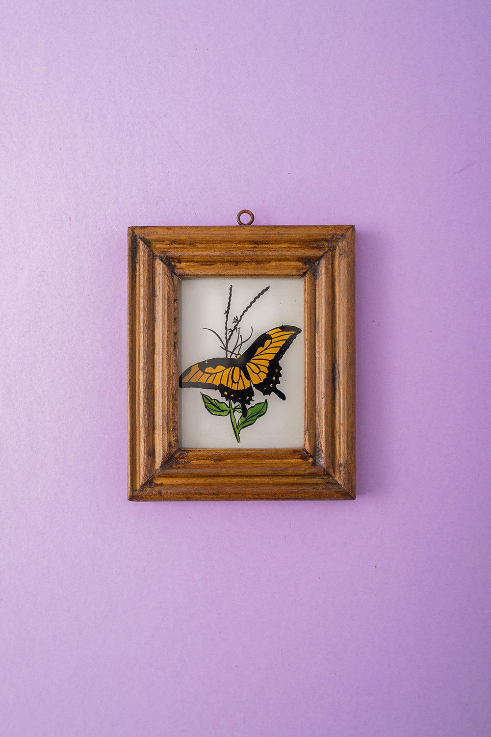 Tiny Old Wood Frame with Botanical/Wildlife Painting - 365