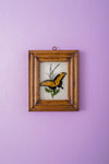 Tiny Old Wood Frame with Botanical/Wildlife Painting - 365