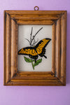 Tiny Old Wood Frame with Botanical/Wildlife Painting - 365