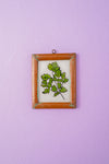 Tiny Old Wood Frame with Botanical/Wildlife Painting - 369