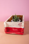 Hand Painted Vintage Brick Mould (Re-worked) - 350