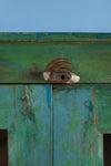 Blue, Red & White Vintage Cupboard <p>W:79cm D:38cm H:151cm </p>