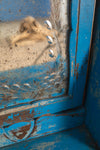 Vintage Light Blue Dresser Unit <p>W:108cm D:46cm H:175cm </p>