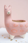 Dusty Rose Llama Earthenware Planter