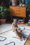 Alezan 100% Recycled Cotton Rug