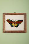 framed painting