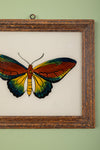 framed painting
