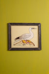 Medium Old Wood Frame with Botanical/Wildlife Painting - 484
