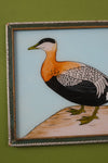 Medium Old Wood Frame with Botanical/Wildlife Painting - 528