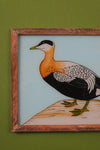 Medium Old Wood Frame with Botanical/Wildlife Painting - 567