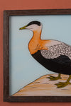 Medium Old Wood Frame with Botanical/Wildlife Painting - 580