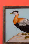 Medium Old Wood Frame with Botanical/Wildlife Painting - 582