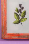 botanical painting