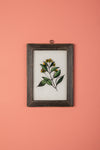 framed painting