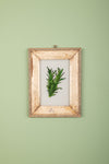 framed painting