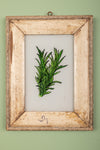 framed painting