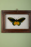 framed painting