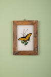 framed painting